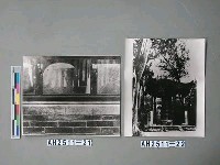 藏品(石鼓文)的圖片